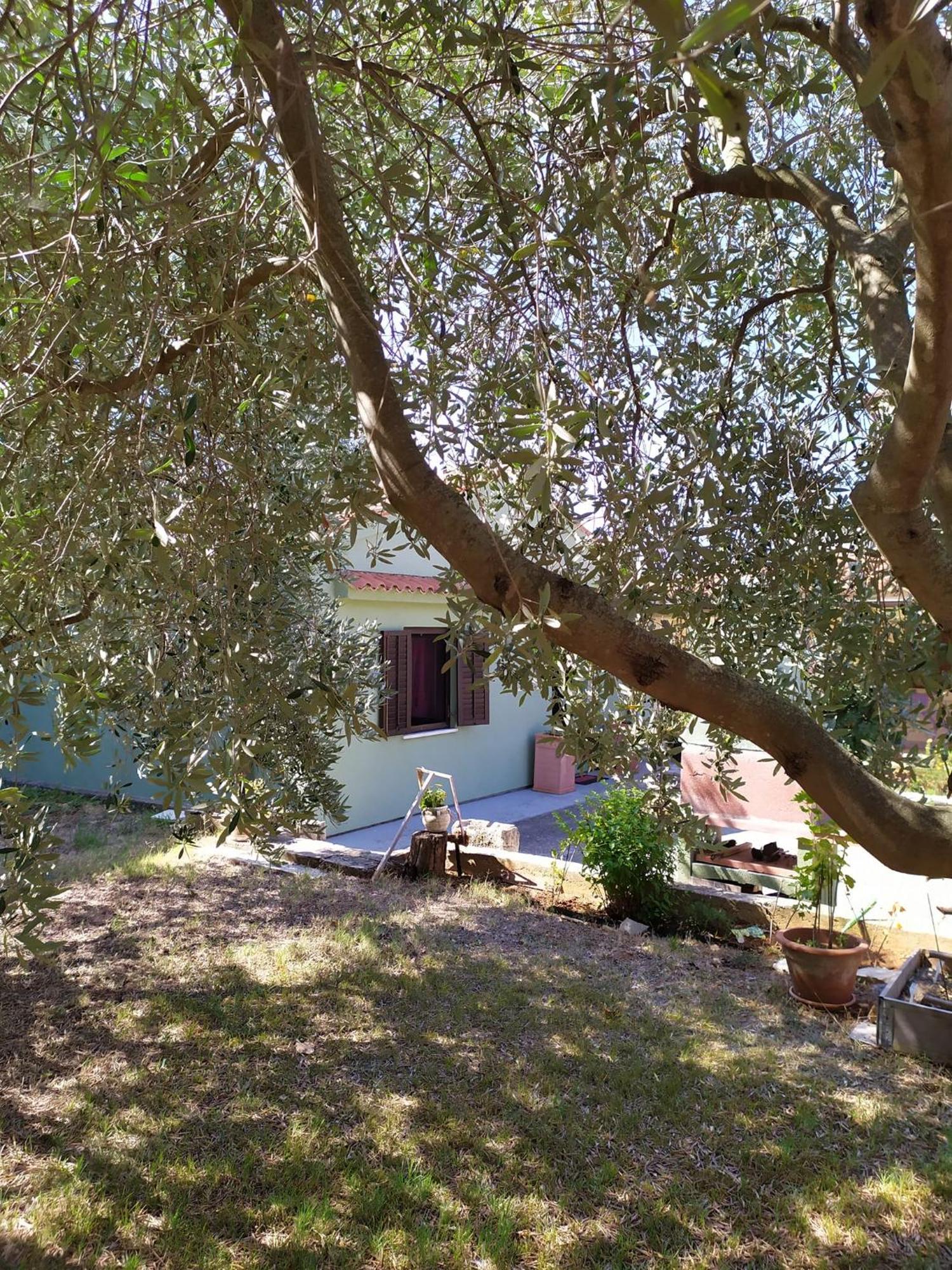 Apartmani Tara Medulin Exteriör bild
